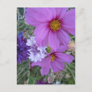 lila Wildblumen Postkarte