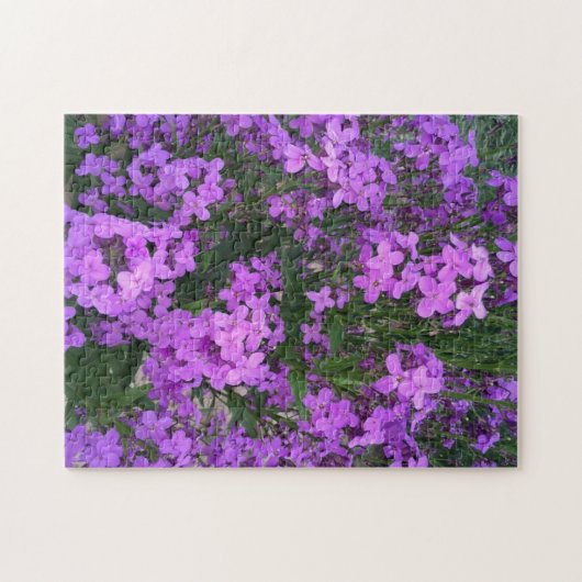 Lila Wildblumen Puzzle (Horizontal)