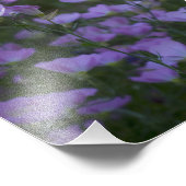 lila Wildblumen überall Fotodruck (Ecke)