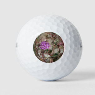 Lila Wildblumen von Verbena und Weißpinsel Golfball