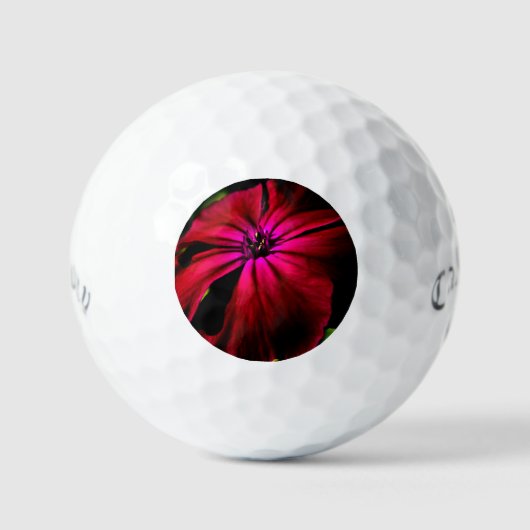 Lila Wilde Blume css gbcnm Golfball (Vorderseite)