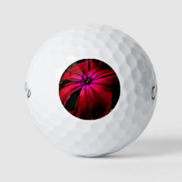 Lila Wilde Blume cwb gbcna Golfball