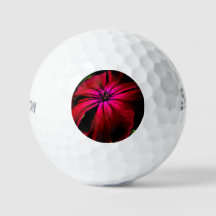 Lila Wilde Blume ssf gbcnm