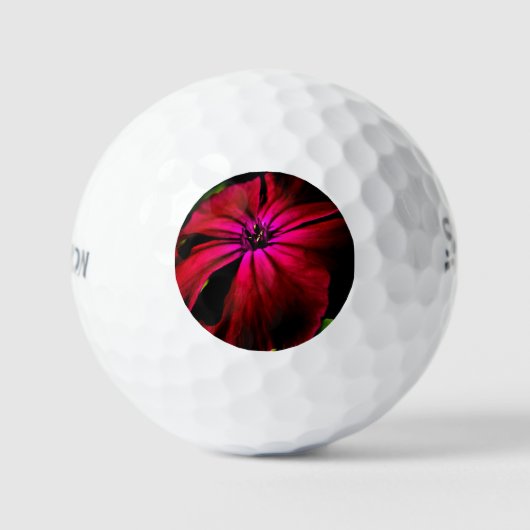 Lila Wilde Blume ssf gbcnm Golfball (Vorderseite)