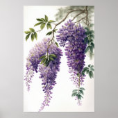 Lila Wisteria Blume Art Print Poster (Vorne)