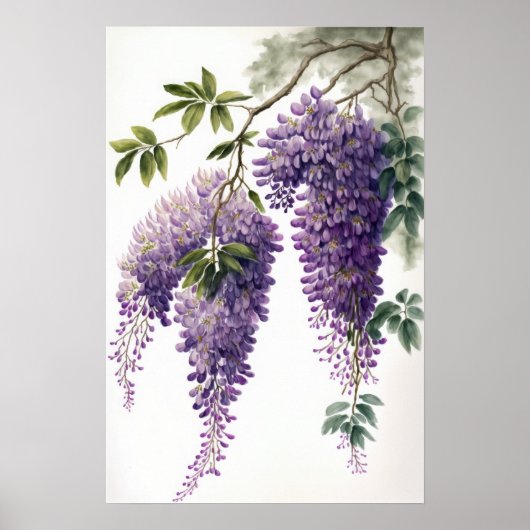 Lila Wisteria Blume Art Print Poster (Vorne)