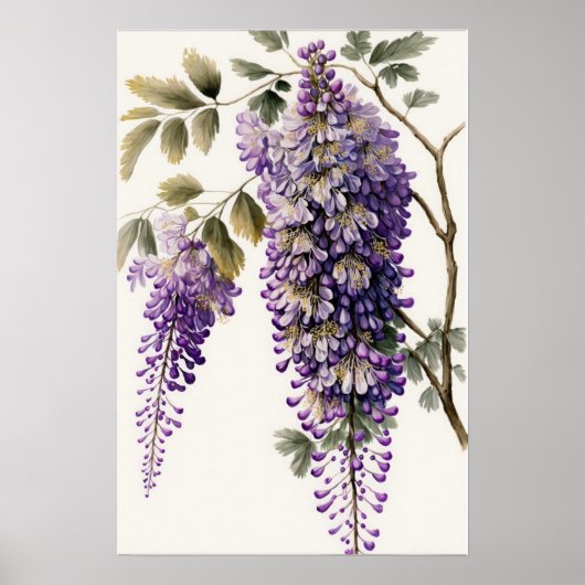 Lila Wisteria Blume Art Print Poster (Vorne)