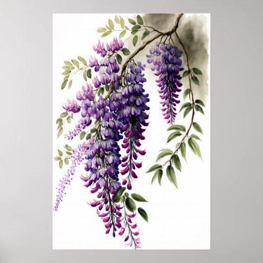 Lila Wisteria Blume Art Print Poster (Vorne)