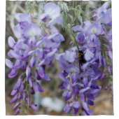 Lila Wisteria-Blume im Frühling mit Bienen-Foto Duschvorhang (Vorderseite)