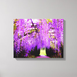 Lila Wisteria Locarno Leinwanddruck