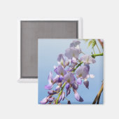 Lila Wisteria Magnet (Vorderseite/Rückseite)