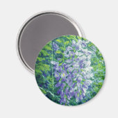 Lila Wisteria Magnet (Vorderseite/Rückseite)