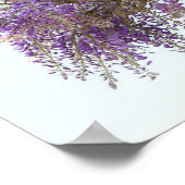 Lila Wisteria Poster (Ecke)