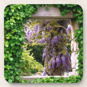 "LILA WISTERIEN DURCH RINDFENSCHWEINEN" UNTERSETZER (Vorderseite)