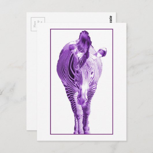 Lila Zebra Postkarte (Vorne/Hinten)