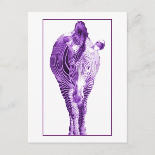 Lila Zebra Postkarte (Vorderseite)