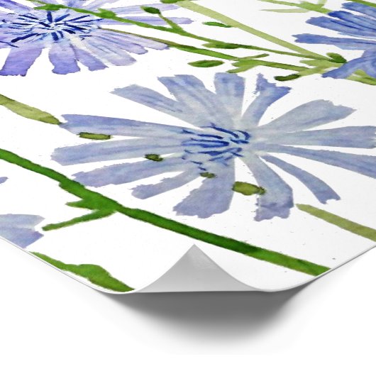 lila Zichorienfarbe Poster (Ecke)