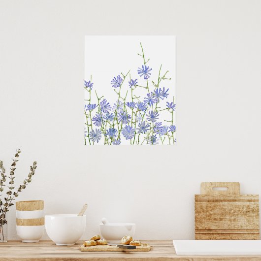 lila Zichorienfarbe Poster (Küche)