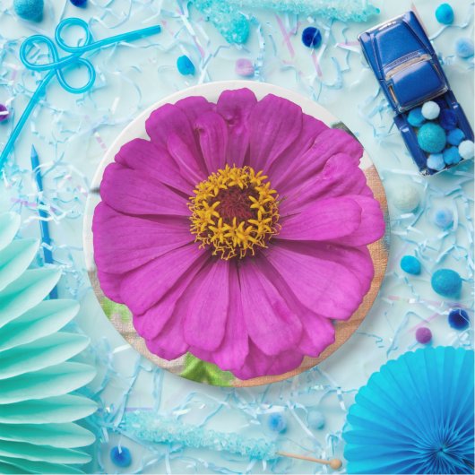 Lila Zinnia-Blume im Blut Pappteller (Party)
