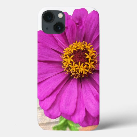 Lila Zinnia-Blume im Fall Bloom iPhone Case-Mate iPhone Hülle (Rückseite)