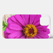 Lila Zinnia-Blume im Fall Bloom iPhone Case-Mate iPhone Hülle (Rückseite (Horizontal))