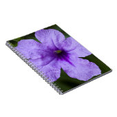 Lila Zwerg Mexikanischer Petunia Notizblock (Rechte Seite)