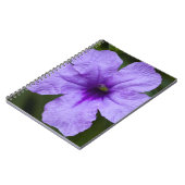 Lila Zwerg Mexikanischer Petunia Notizblock (Linke Seite)