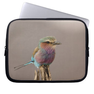 Lilablauer Roller, Coracias caudata, Samburu Laptopschutzhülle
