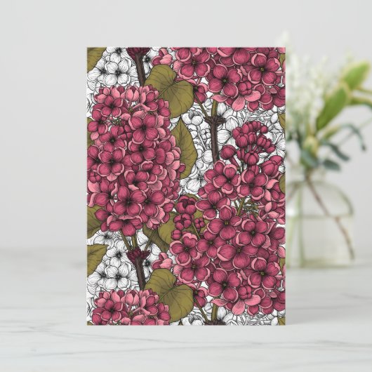 Lilac (Stehend Vorderseite)