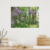 Lilac Beauty Poster (Küche)
