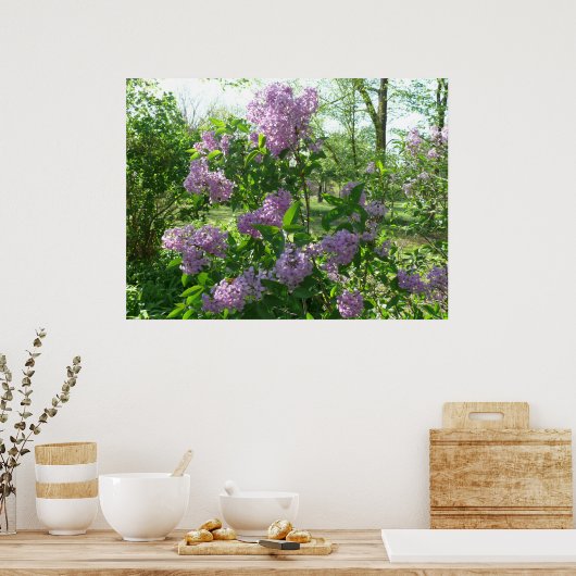 Lilac Beauty Poster (Küche)