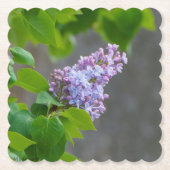 Lilac Beauty Untersetzer (Vorderseite)