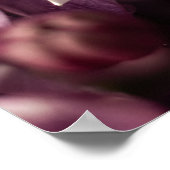 Lilac Blossom nach dem Regen Poster (Ecke)