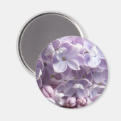 Lilac Blossoms Magnet (Vorderseite/Rückseite)