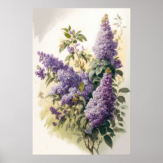 Lilac Blume Art Print Poster (Vorne)
