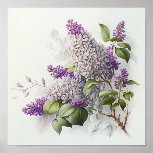 Lilac Blume Art Print Poster (Vorne)