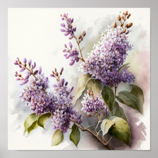 Lilac Blume Art Print Poster (Vorne)