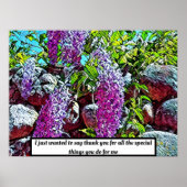 Lilac-Blume blühen im Garten Poster (Vorne)