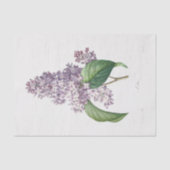 Lilac Blume Floral Blume Decoupage Seidenpapier (Vorderseite)