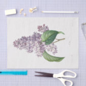 Lilac Blume Floral Blume Decoupage Seidenpapier (Handwerk)