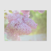 Lilac Blume Licht Lila Schönes Land