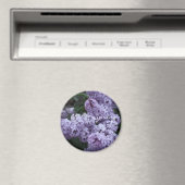 Lilac Blume Magnet (In Situ (Geschirrspüler))