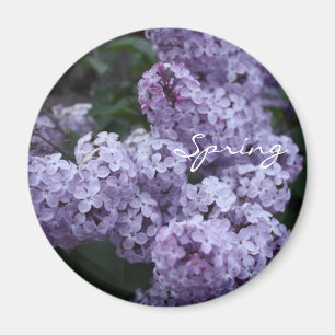 Lilac Blume Magnet