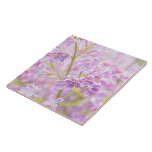 Lilac Blume Mist Fliese (Seite)