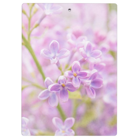 Lilac Blume Mist Klemmbrett (Rückseite)