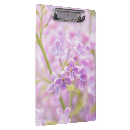 Lilac Blume Mist Klemmbrett (Rechts)