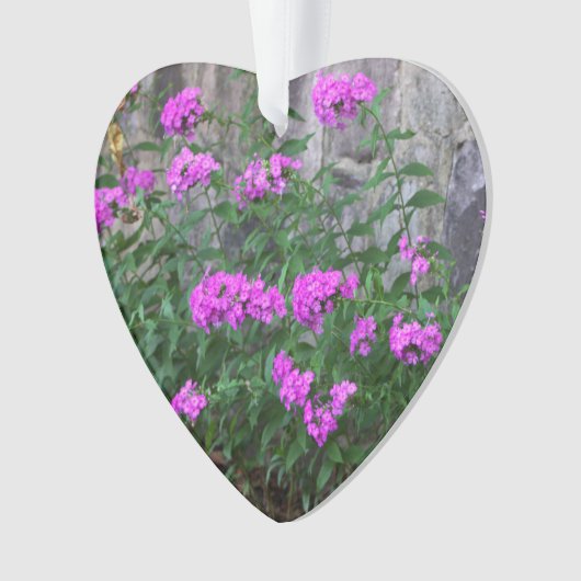 Lilac Blume Ornament (Vorderseite)