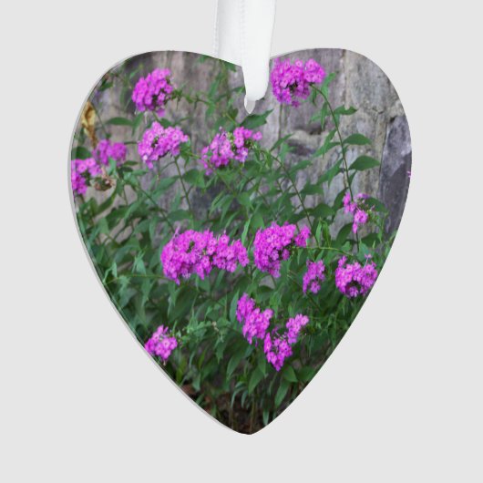 Lilac Blume Ornament (Vorderseite)