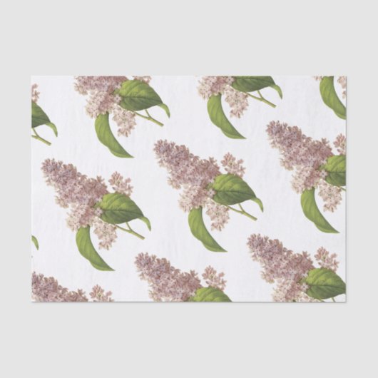 Lilac Blume Pattern Seidenpapier (Vorderseite)