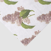 Lilac Blume Pattern Seidenpapier (Ausschnitt)